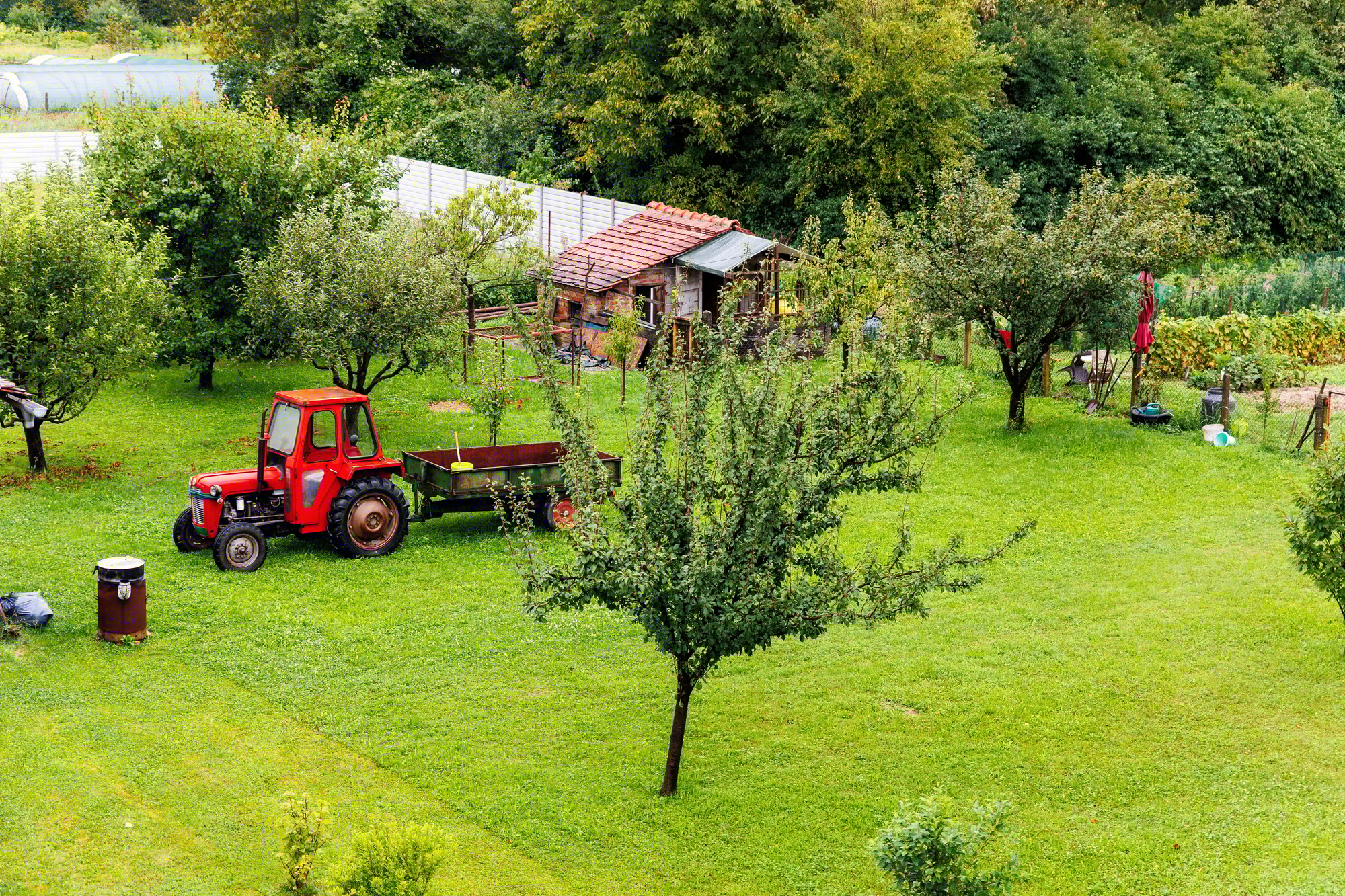 Small mini old vintage red retro tractor standing near rustic shed building farm green garden
